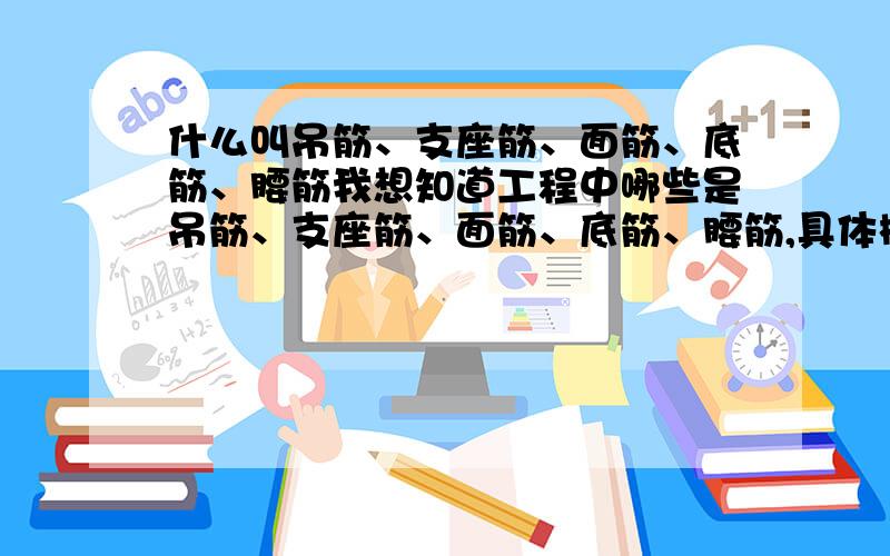 什么叫吊筋、支座筋、面筋、底筋、腰筋我想知道工程中哪些是吊筋、支座筋、面筋、底筋、腰筋,具体概念是什么呢?（不想翻书,呵呵.）在图纸中用什么符号表示呢?