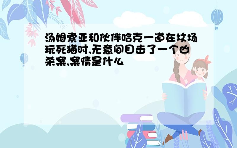 汤姆索亚和伙伴哈克一道在坟场玩死猫时,无意间目击了一个凶杀案,案情是什么