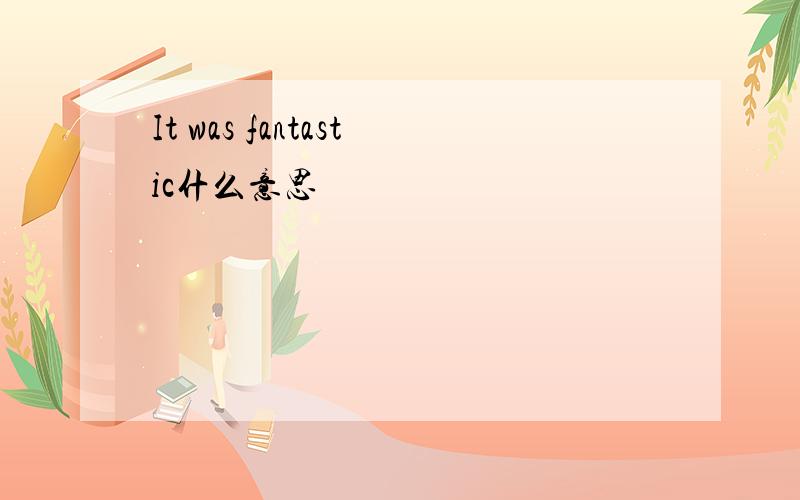 It was fantastic什么意思