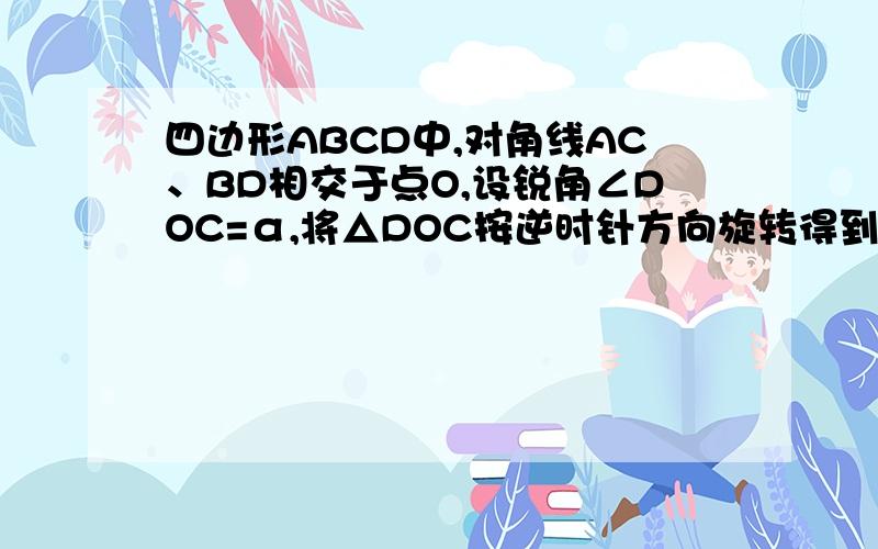 四边形ABCD中,对角线AC、BD相交于点O,设锐角∠DOC=α,将△DOC按逆时针方向旋转得到△D′OC′（0°＜旋转角＜90°）连接AC′、BD′,AC′与BD′相交于点M．（1）当四边形ABCD是矩形时,如图1,请猜想AC