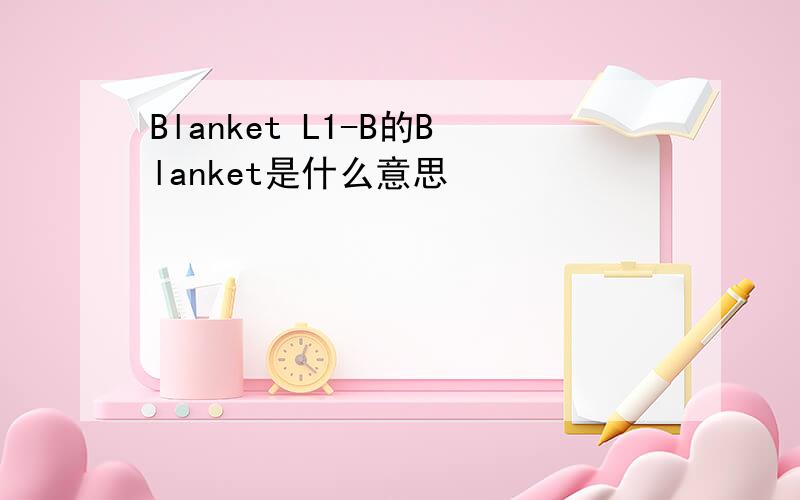 Blanket L1-B的Blanket是什么意思