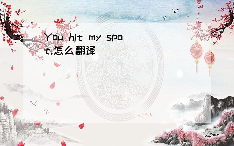 You hit my spot.怎么翻译