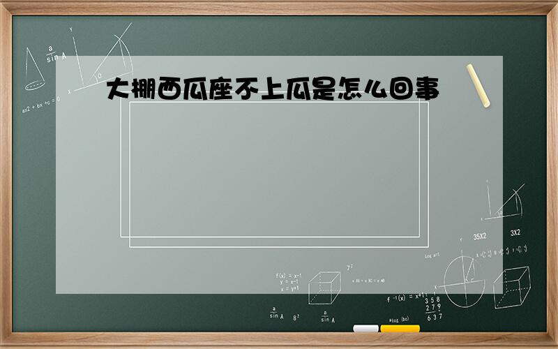 大棚西瓜座不上瓜是怎么回事