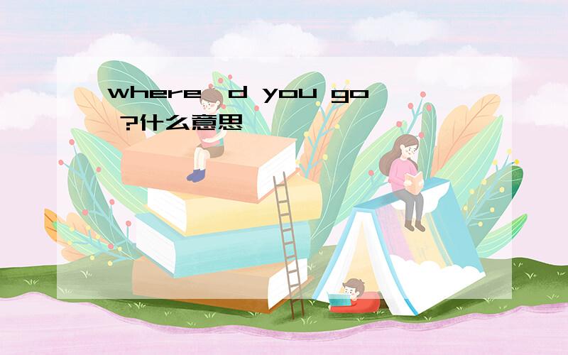 where`d you go ?什么意思