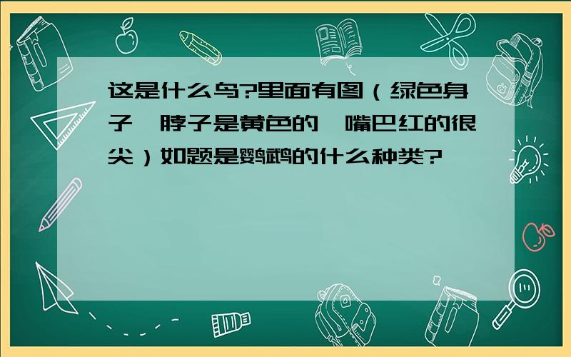 这是什么鸟?里面有图（绿色身子,脖子是黄色的,嘴巴红的很尖）如题是鹦鹉的什么种类?