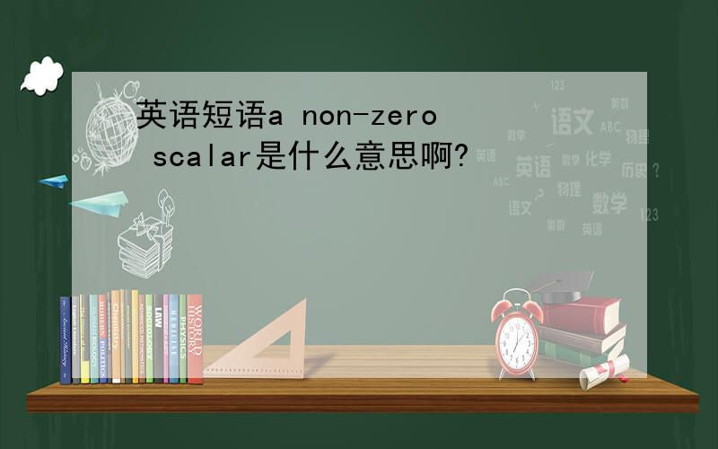 英语短语a non-zero scalar是什么意思啊?