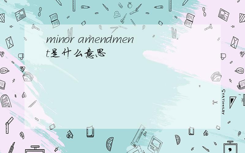 minor amendment是什么意思