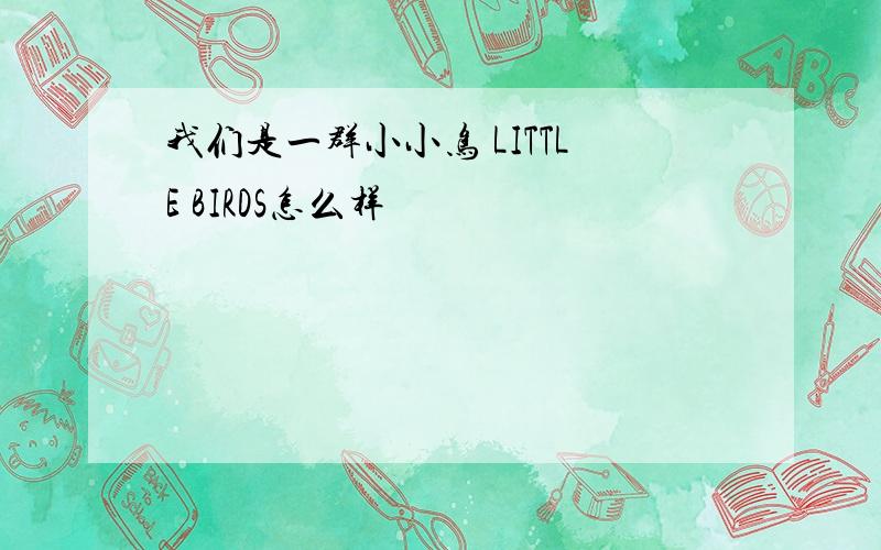 我们是一群小小鸟 LITTLE BIRDS怎么样