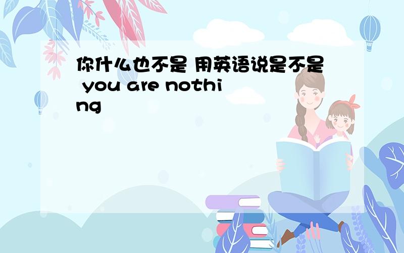 你什么也不是 用英语说是不是 you are nothing