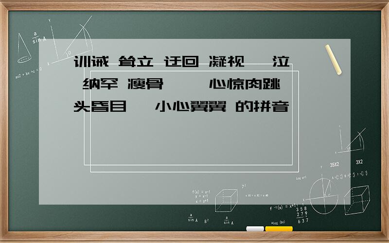 训诫 耸立 迂回 凝视 啜泣 纳罕 瘦骨嶙峋 心惊肉跳 头昏目眩 小心翼翼 的拼音