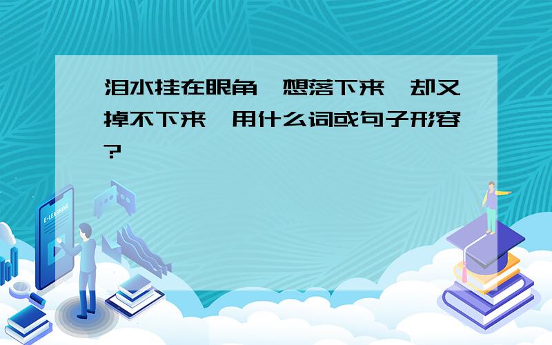 泪水挂在眼角,想落下来,却又掉不下来,用什么词或句子形容?