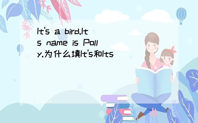 It's a bird.Its name is Polly.为什么填It's和Its
