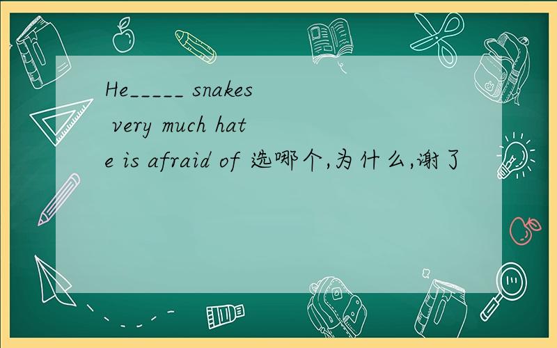 He_____ snakes very much hate is afraid of 选哪个,为什么,谢了