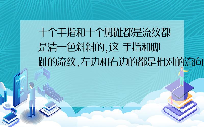 十个手指和十个脚趾都是流纹都是清一色斜斜的,这 手指和脚趾的流纹,左边和右边的都是相对的流向,如果是男或者女,代表什么?其实我要的答案是(看相类）的.