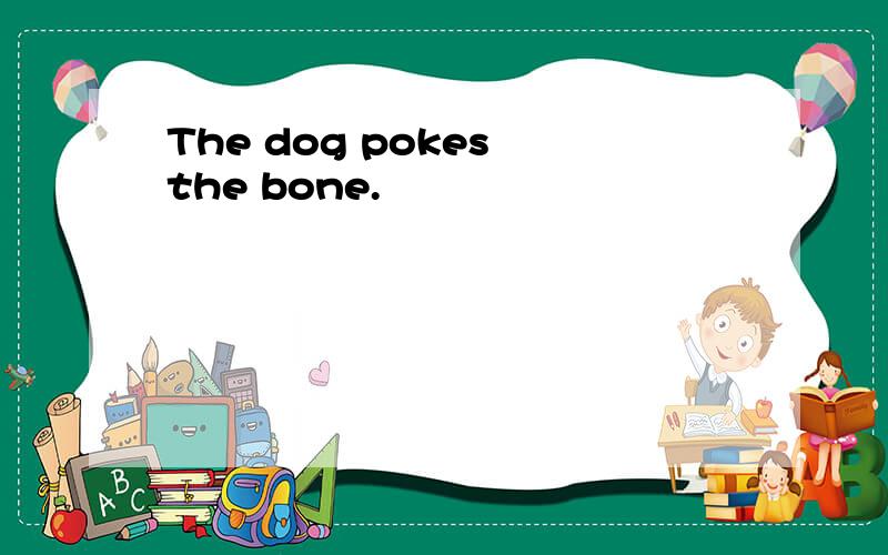 The dog pokes the bone.