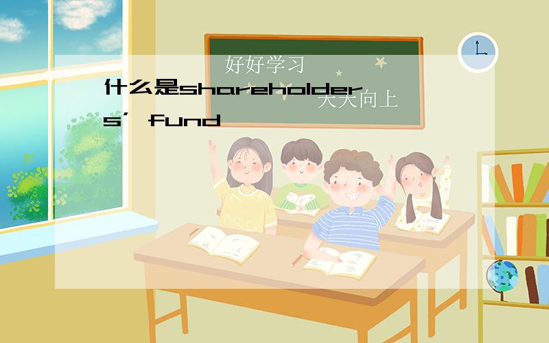 什么是shareholders’ fund