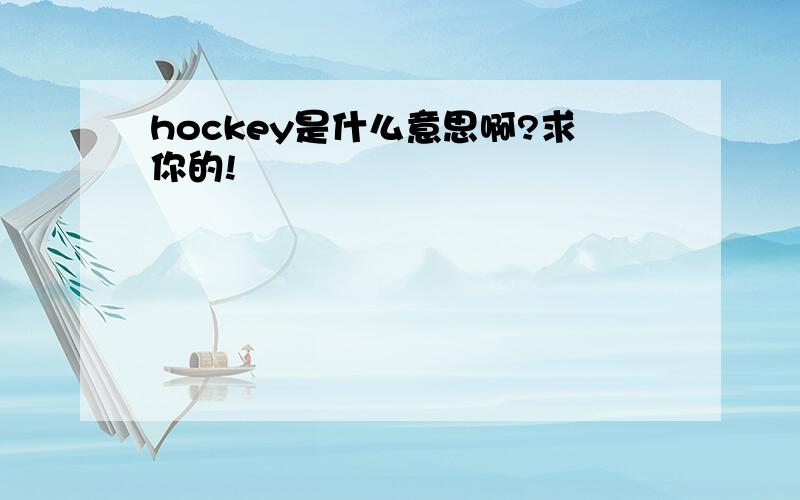 hockey是什么意思啊?求你的!