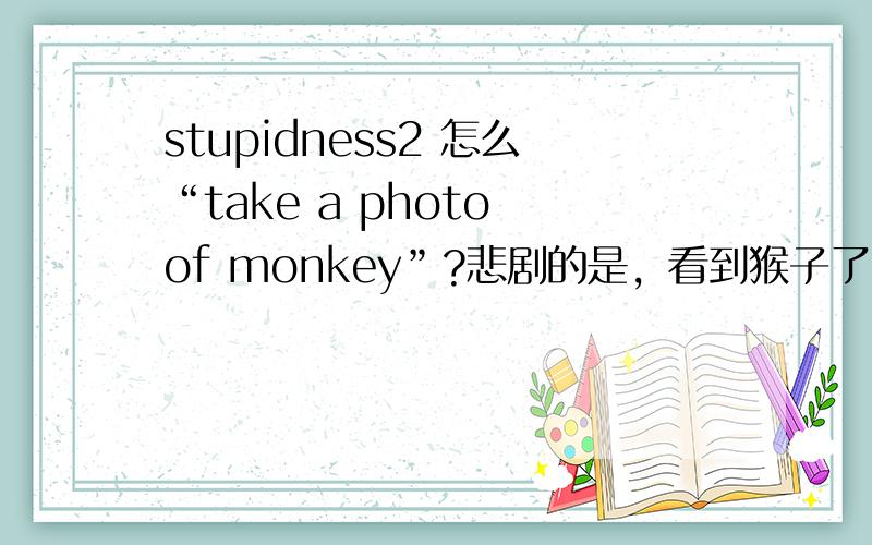 stupidness2 怎么“take a photo of monkey”?悲剧的是，看到猴子了，也点了中间的+，但是还是过不了，有没有什么窍门？