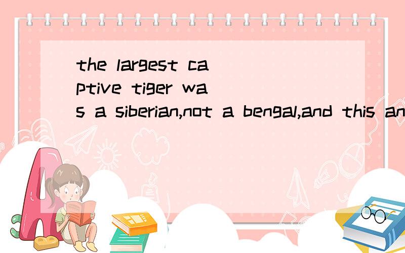 the largest captive tiger was a siberian,not a bengal,and this animal weighed 1025 lbs,all other records unreliable.这两句话里说的1025磅的西伯利亚虎是被证实的还是未被证实的啊?