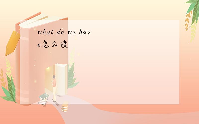 what do we have怎么读