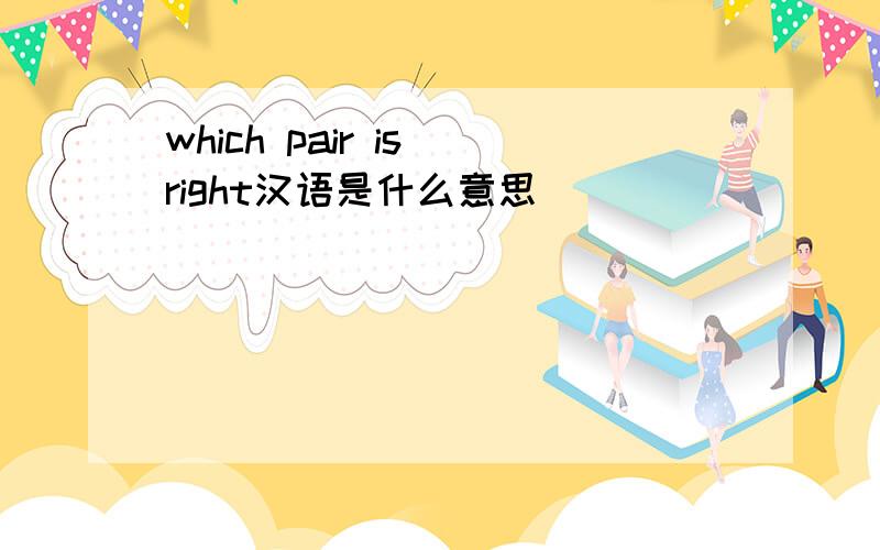 which pair is right汉语是什么意思