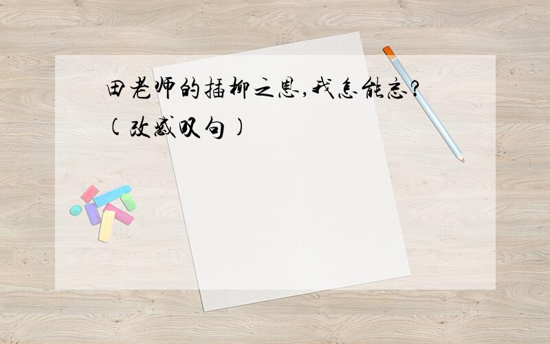 田老师的插柳之恩,我怎能忘?(改感叹句)