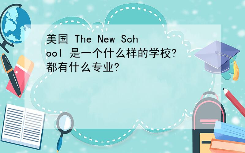 美国 The New School 是一个什么样的学校?都有什么专业?