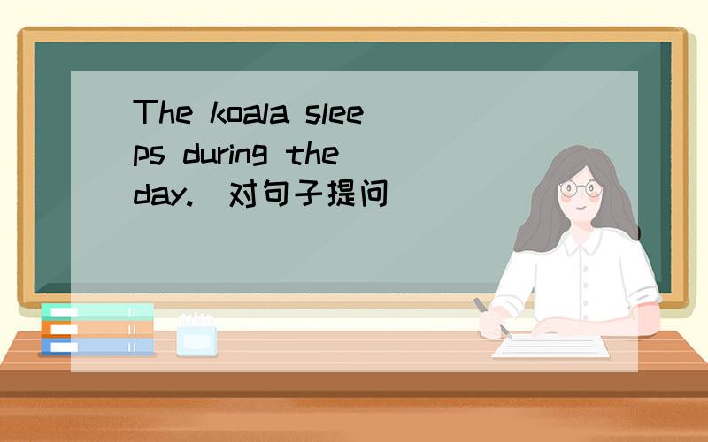 The koala sleeps during the day.(对句子提问) _____ ______ the koala _____?