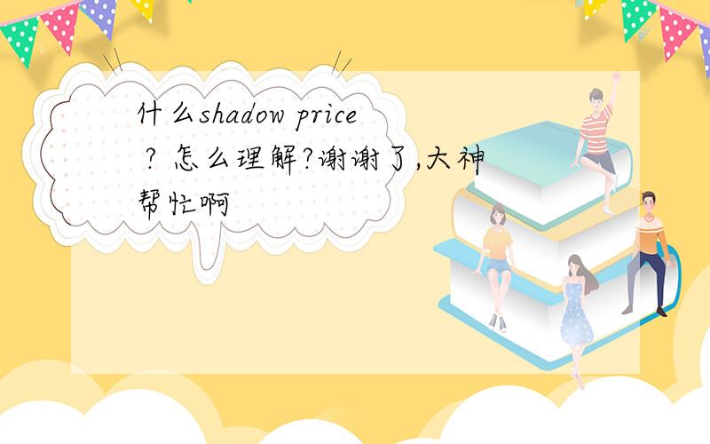 什么shadow price ? 怎么理解?谢谢了,大神帮忙啊