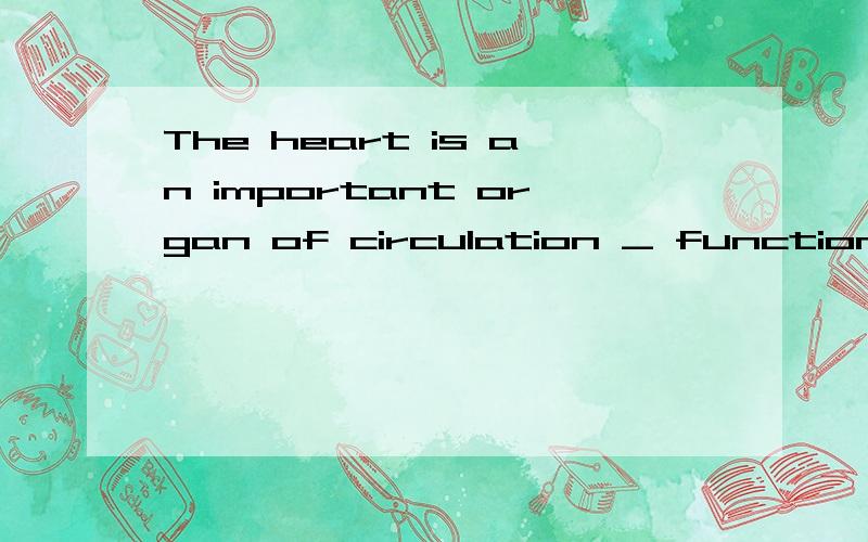 The heart is an important organ of circulation _ function is to pump blood to all parts of the bodyThe heart is an important organ of circulation _________ function is to pump blood to all parts of the body.A) which B) whose C) of it D) its选哪个?