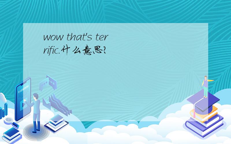 wow that's terrific.什么意思?