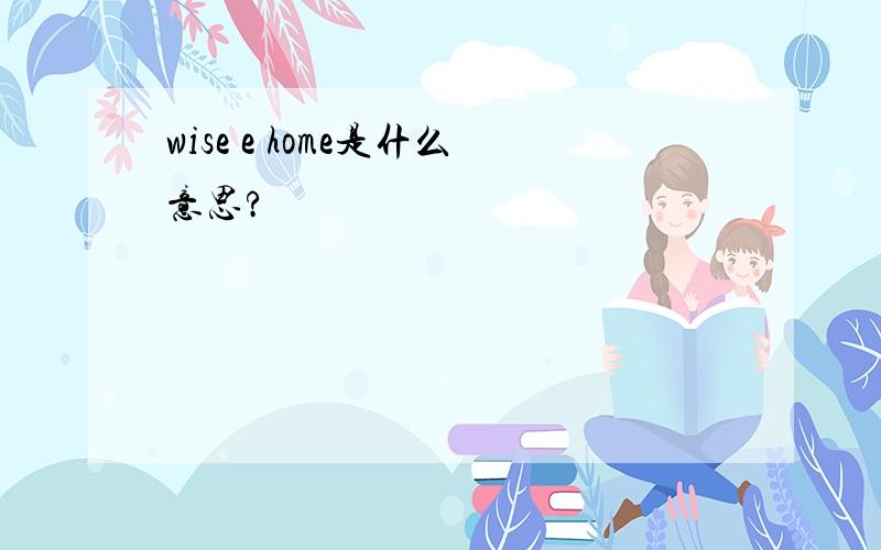 wise e home是什么意思?