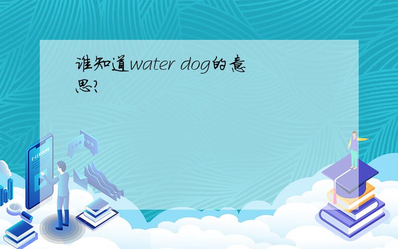 谁知道water dog的意思?