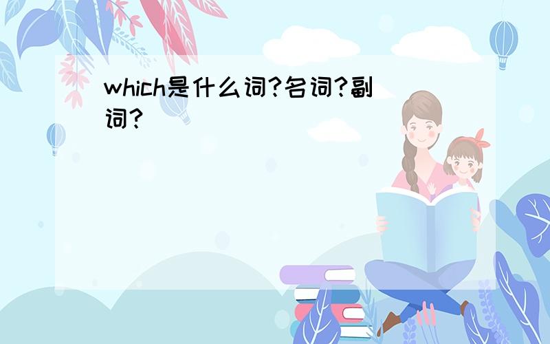 which是什么词?名词?副词?