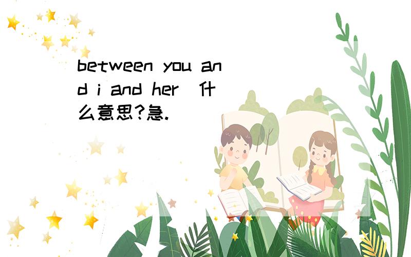 between you and i and her  什么意思?急.