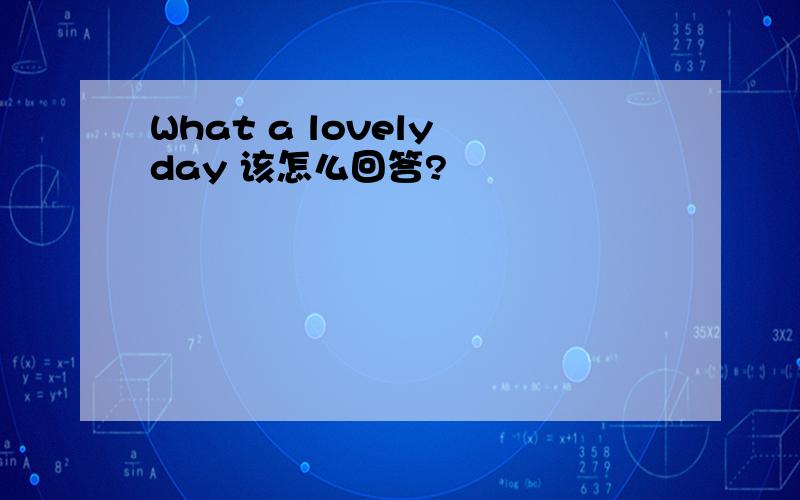 What a lovely day 该怎么回答?