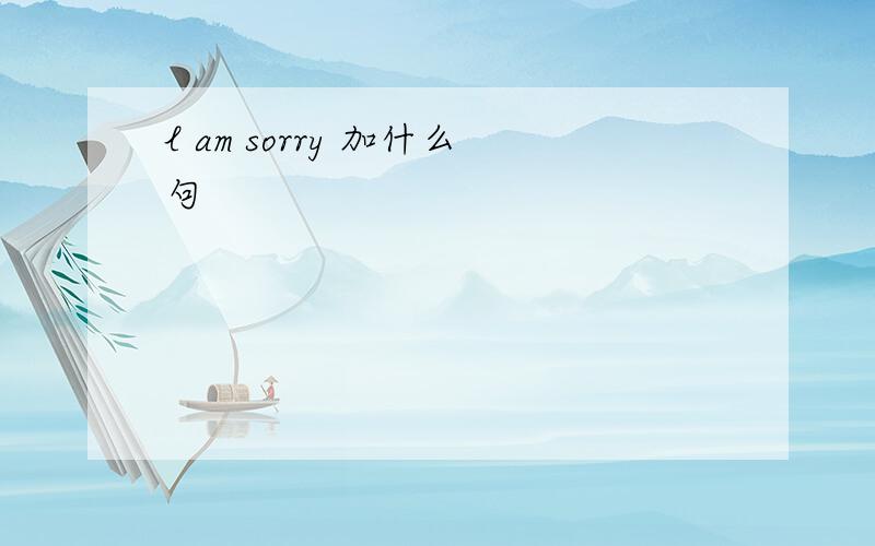 l am sorry 加什么句