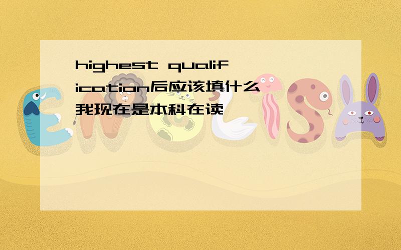 highest qualification后应该填什么 我现在是本科在读