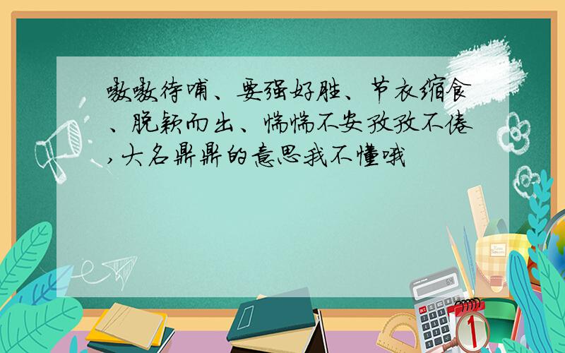 嗷嗷待哺、要强好胜、节衣缩食、脱颖而出、惴惴不安孜孜不倦,大名鼎鼎的意思我不懂哦