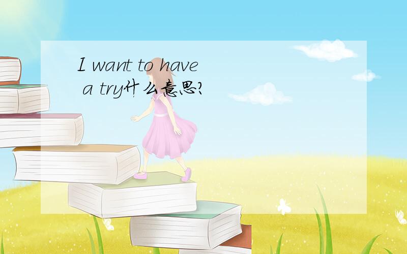 I want to have a try什么意思?