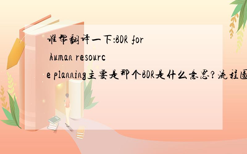 谁帮翻译一下：BDR for human resource planning主要是那个BDR是什么意思?流程图么?谢谢回答了.