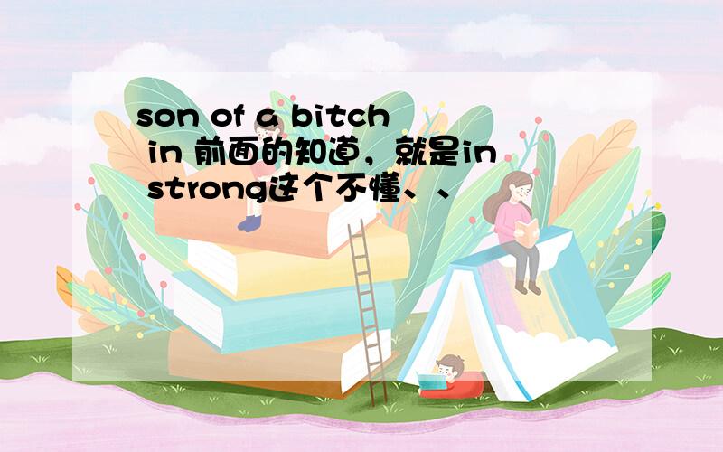 son of a bitch in 前面的知道，就是in strong这个不懂、、