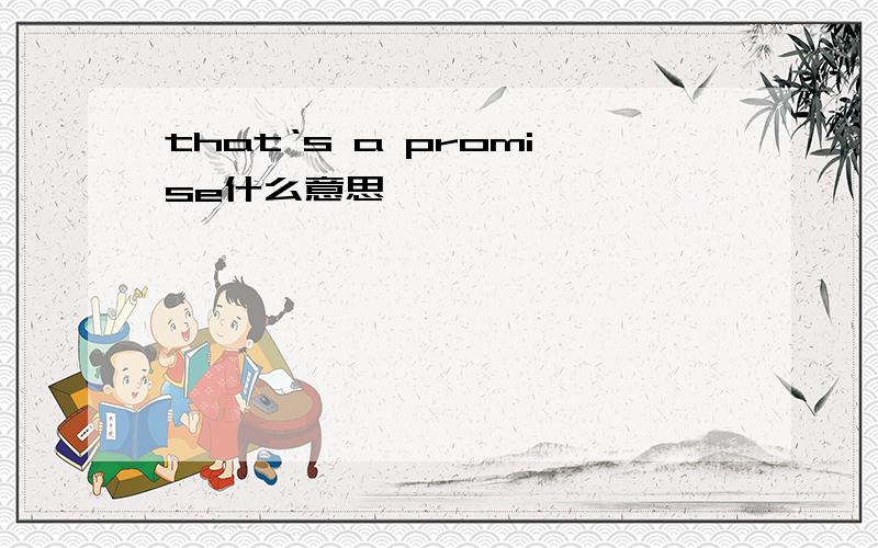 that‘s a promise什么意思