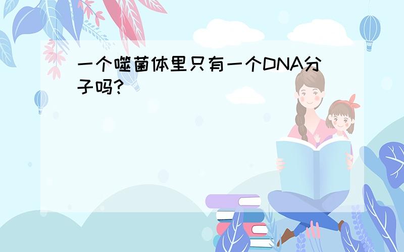 一个噬菌体里只有一个DNA分子吗?