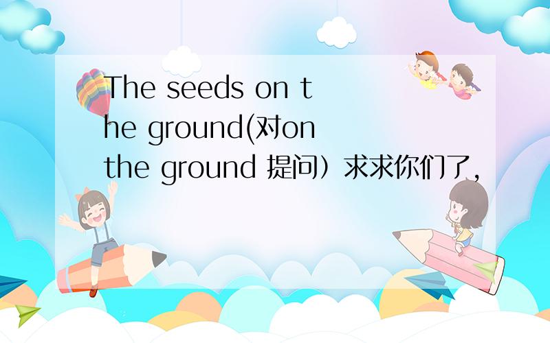 The seeds on the ground(对on the ground 提问）求求你们了,