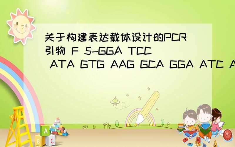 关于构建表达载体设计的PCR引物 F 5-GGA TCC ATA GTG AAG GCA GGA ATC ACA ATC-3、R 5-GCT CTT AGG CCA CAT GGT ,引物含BamHI/XbaI酶切位点,P了DNA沉淀之后,将其连接到含EcoRI  的pCRTM 2.1 上,再用BamHI/XbaI酶切后连接到