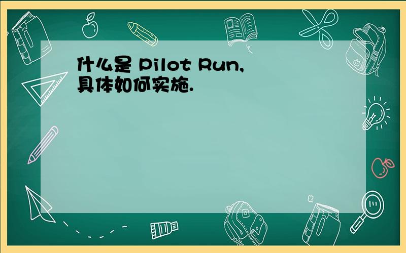 什么是 Pilot Run,具体如何实施.