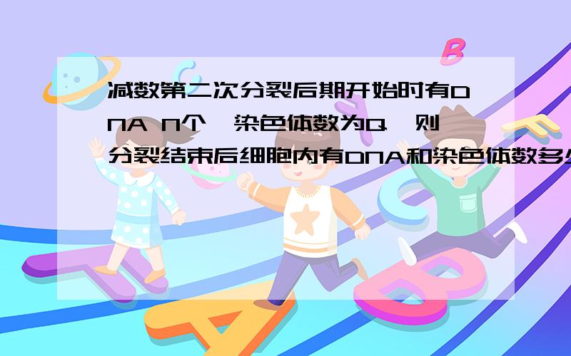 减数第二次分裂后期开始时有DNA N个,染色体数为Q,则分裂结束后细胞内有DNA和染色体数多少