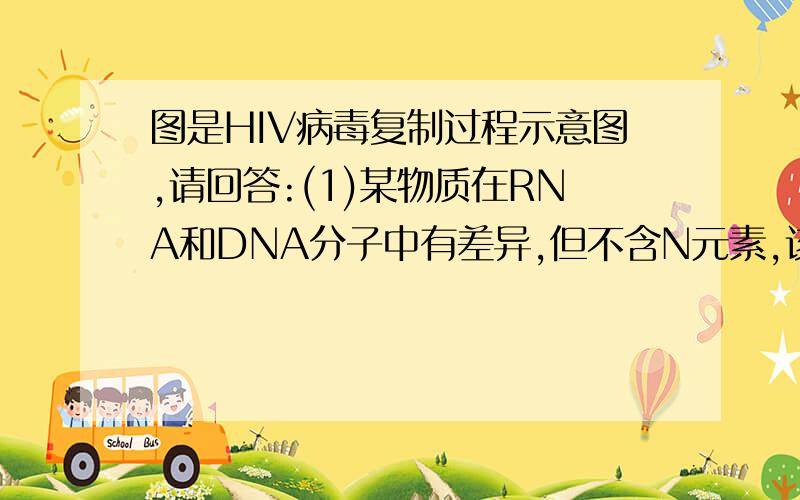 图是HIV病毒复制过程示意图,请回答:(1)某物质在RNA和DNA分子中有差异,但不含N元素,该图是HIV病毒复制过程示意图,请回答: (1)某物质在RNA和DNA分子中有差异,但不含N元素,该物质是____. (2)HIV进入