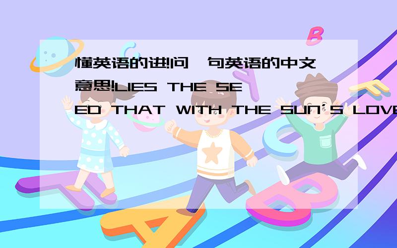 懂英语的进!问一句英语的中文意思!LIES THE SEED THAT WITH THE SUN’S LOVE, IN THE SPRING IT BECOMES THE ROSE!这句话是什么意思?不要想去iciba或者google翻译.排除几个错误意思：谎言,太阳的爱,在春天它变成